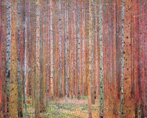 Gustav Klimt – ‘Tannenwald I’ Canvas Print Review